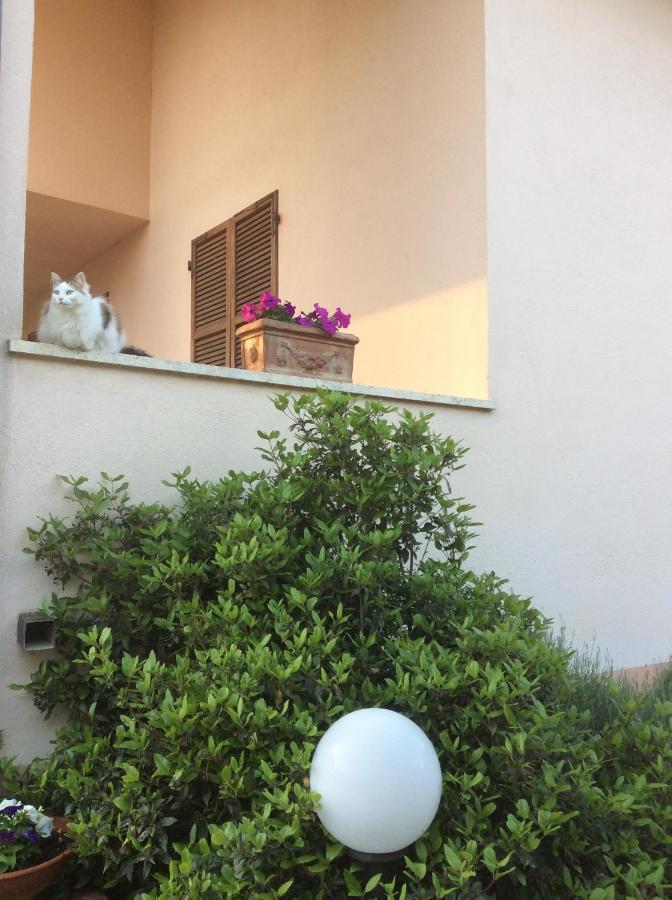 B&B Il Frassino Perugia Exterior foto
